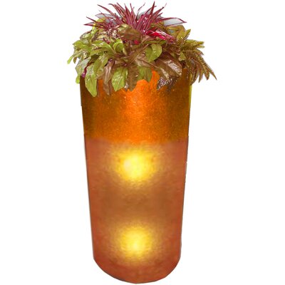 Orange Glass Lamp | Wayfair